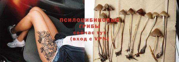 гашик Киреевск