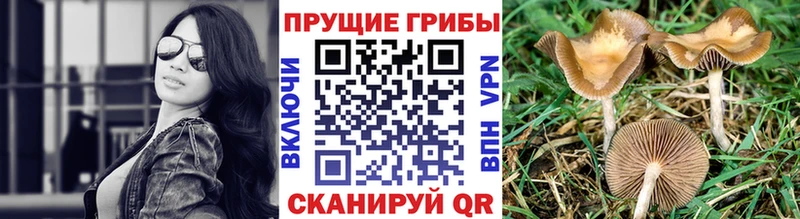 Галлюциногенные грибы мухоморы  Уссурийск 